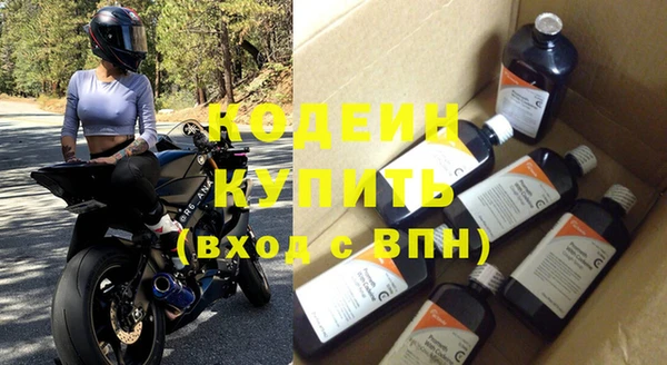 хмурый Вяземский