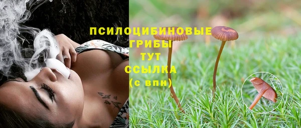 трава Горнозаводск
