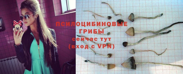 хмурый Вяземский