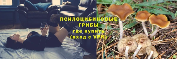 хмурый Вяземский