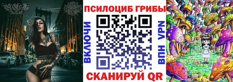 блэк спрут зеркало хочу наркоту Заводоуковск Галлюциногенные грибы Cubensis